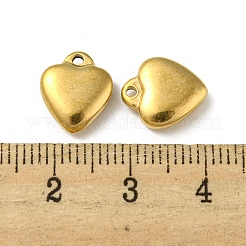 Placcatura ionica (ip) ciondoli in acciaio inossidabile 304&nbsp;STAS-P341-20B-G