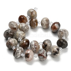 Natürliche mexikanische Achat Perlen Stränge&nbsp;G-L642-I11-18x13mm