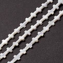 Natürliche Trochidschale / Trochusschalenperlen&nbsp;SSHEL-O0001-22B