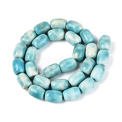 Tinti agata naturale fili di perline&nbsp;G-T144-51A-01