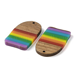 Colgantes de resina y madera de nogal con tema de arcoíris del orgullo&nbsp;WOOD-K012-02