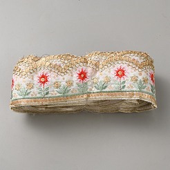 Ruban de dentelle en polyester jacquard vintage&nbsp;SRIB-WH20020-113A