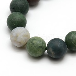 Chapelets de perles en agate indienne mate naturelle&nbsp;G-M063-10mm-01
