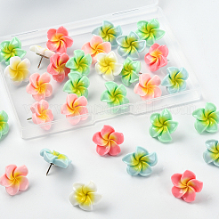 30 Stück Cabochon-Kartenstifte aus Plumeria-Harz&nbsp;AJEW-SC0031-18