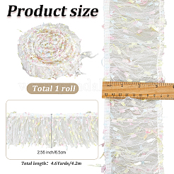 Nastro di pizzo in poliestere con frange&nbsp;DIY-WH20062-40A