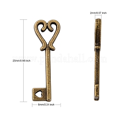 Tibetische Stil Anhänger & Charms&nbsp;TIBEB-A102095-AB-FF