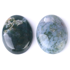 Naturali indian agata cabochon&nbsp;PW-WG8E62B-04
