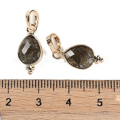 Natürliche Labradorit-Anhänger mit Facettenschliff&nbsp;KK-L218-004G-02