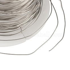 304 Edelstahldraht&nbsp;STAS-A115-01P-0.4mm