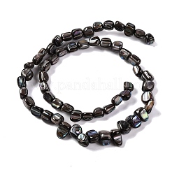Eau douce naturelle de coquillage perles brins&nbsp;BSHE-S304-06