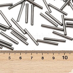 Perles de bugle en verre&nbsp;SEED-R028-2x20-A04