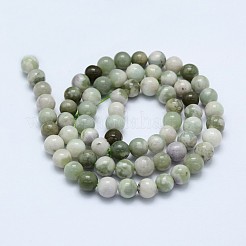 Natürliche Frieden Jade Perlen Stränge&nbsp;G-I206-20-6mm
