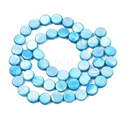 Shell perle d'acqua dolce fili&nbsp;SHEL-T009-B16