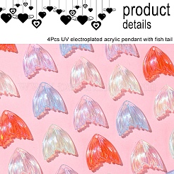 24 Stück 6 Farben UV-Beschichtung Regenbogen schillernde transparente Acrylanhänger&nbsp;PACR-FS0001-02