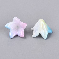 Perles en plastique opaque bicolores&nbsp;KY-N025-63