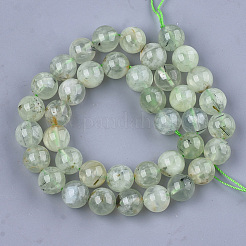Perline Prehnite naturale fili&nbsp;G-S333-10mm-032