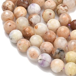 Natürliche lila Opal Perlen Stränge&nbsp;G-L642-B21-6mm