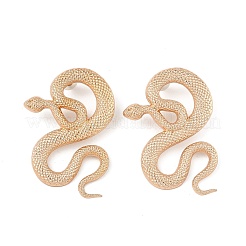 Aretes de aleación&nbsp;EJEW-R021-03KCG-01