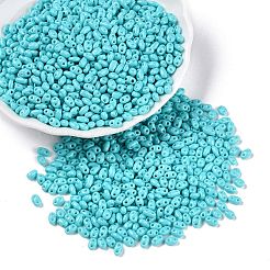 Perle di vetro per la cottura di vernici&nbsp;SEED-T006-03H