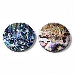 Natürliche Abalone Muschel / Paua Muschel Anhänger&nbsp;SSHEL-N034-86