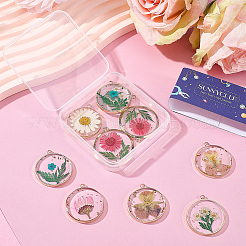 12 pièces 6 styles pendentifs en résine époxy transparente transparente&nbsp;RESI-SC0036-60A