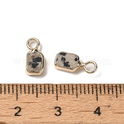 Breloques rectangulaires en jaspe dalmatien naturel&nbsp;G-Q169-07G-06