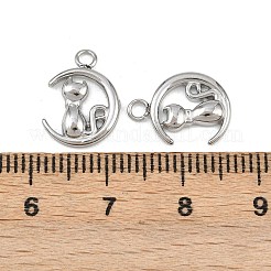 Anhänger aus 304 Edelstahl&nbsp;STAS-H242-01P-05