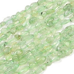 Natur Prehnit Perlen Stränge&nbsp;G-K395-B08-01