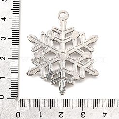 Aluminium Anhänger & Charms&nbsp;TIBE-L008-04P