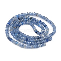 Natürliche kyanite Perlen Stränge&nbsp;G-K376-E04-02