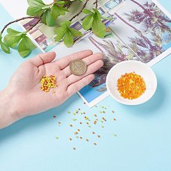 600g perles de rocaille en verre 24 couleurs&nbsp;SEED-JP0008-03-2mm