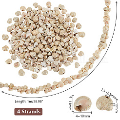 4 Strang natürliche Muschelperlenstränge&nbsp;BSHE-PH0001-37