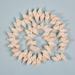 Spirale naturale perline shell fili&nbsp;BSHE-SZ0001-01