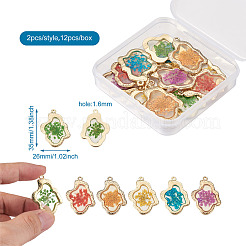 12 Stück 6 Farben Epoxidharz-Anhänger&nbsp;RESI-CD0001-05