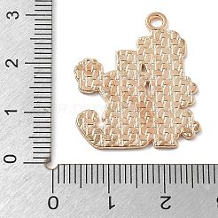 Aluminium Anhänger & Charms&nbsp;ENAM-D285-02KCG-01