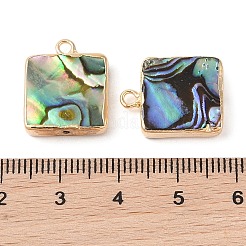 Natur Paua Muschel Anhänger&nbsp;SHEL-P017-21G