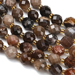 Chapelets de perles en bois pétrifié naturel&nbsp;GG-CBA4A3B-A08