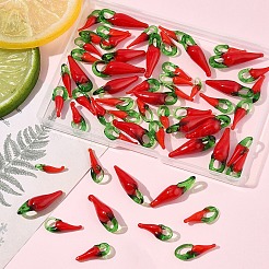 60pcs 3 Arten handgemachte Bunte Malerei-Anhänger&nbsp;LAMP-FS0001-45