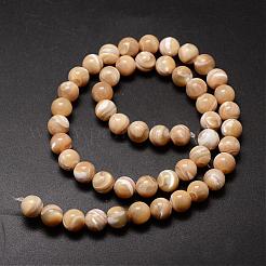 Cuentas de concha de mar natural hebras&nbsp;SSHEL-K013-8mm-B