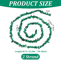 Eau douce naturelle de coquillage perles brins&nbsp;BSHE-WH0006-05D