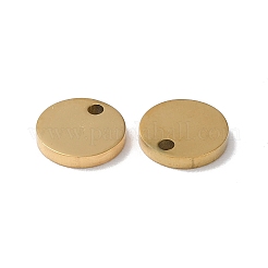 Breloques en acier inoxydable 304&nbsp;STAS-Q308-09C-G