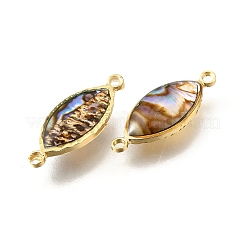 Breloques connecteurs en coquillage paua naturel pavé de laiton&nbsp;KK-E794-01G-09