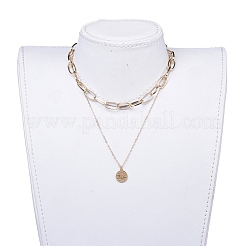 Collares con colgantes y cadenas de clip de acero inoxidable 304 en varios niveles.&nbsp;NJEW-JN02765-02