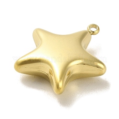 Anhänger aus Edelstahl 304&nbsp;STAS-L022-115G