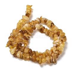 Perline ambra naturale fili&nbsp;G-L095-N01-01