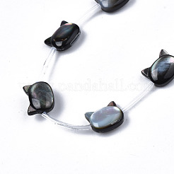 Natur schwarz Lippe Shell Perlen Stränge&nbsp;SSHEL-S278-124B