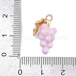 Pendentifs en émail en alliage de fruits&nbsp;ENAM-P264-02G-G04