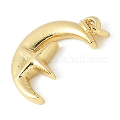 Pendentifs en laiton&nbsp;KK-K298-11G