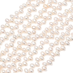 Fili di perle di perle d'acqua dolce coltivate naturali&nbsp;PA-CBABE82-03A
