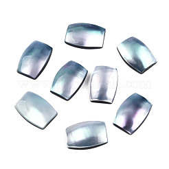 Cabujones naturales turbo cornulus/top shells&nbsp;SSHEL-N003-153A